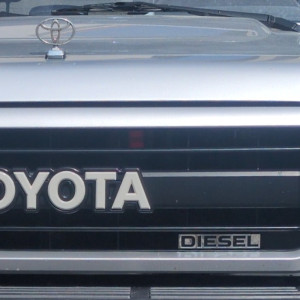 Emblem & Ornament