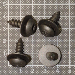 Flachkopf-Schraube mit Scheibe für Kunststoff 6x12 mm