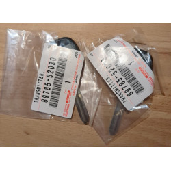 blank master key & transponder